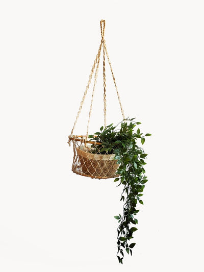 Jhuri Single Hanging Basket - The Sunflower Store Co