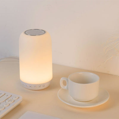 Multi - function Timing LED Night Light AIDS To Sleep - The Sunflower Store Co
