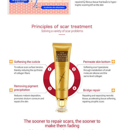 Light Scar Cream Scar Fine Grain Desalination Skin Care Products - The Sunflower Store Co