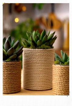 2233 - Amani - The Sunflower Store Co