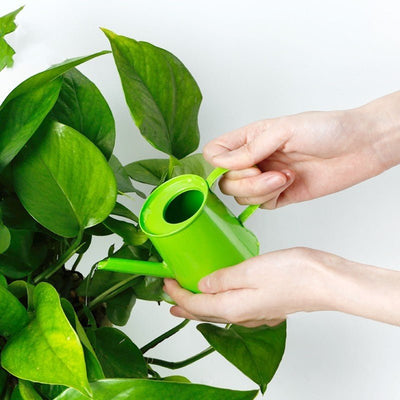 Children's Teaching Aids Watering Can Early Education Toys - The Sunflower Store Co
