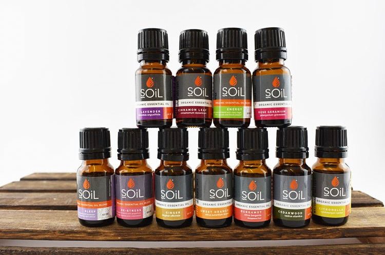Bug Away - Organic Essential Oil Blend 10ml - The Sunflower Store Co