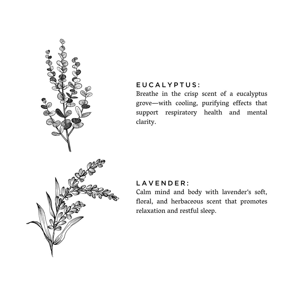 Eucalyptus + Lavender - Natural Bar Soap - The Sunflower Store Co