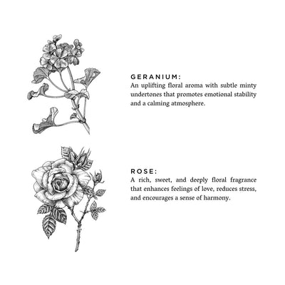 Geranium + Rose - The Sunflower Store Co