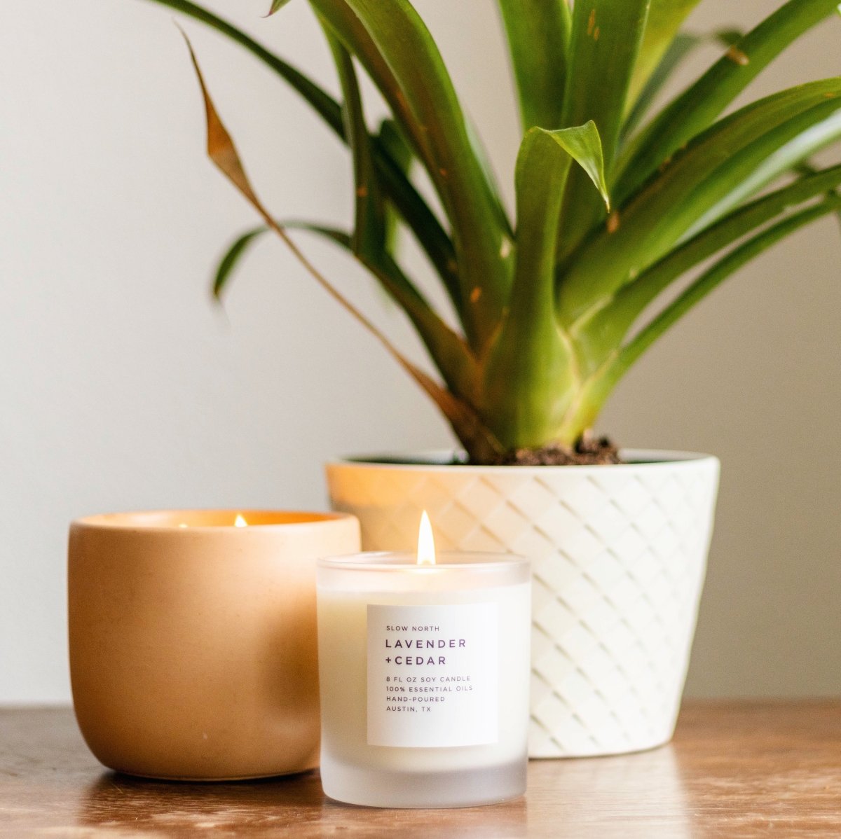 Lavender + Cedar - Signature Candle - The Sunflower Store Co