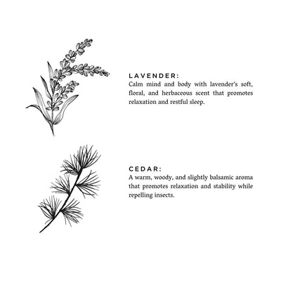 Lavender + Cedar - Signature Candle - The Sunflower Store Co