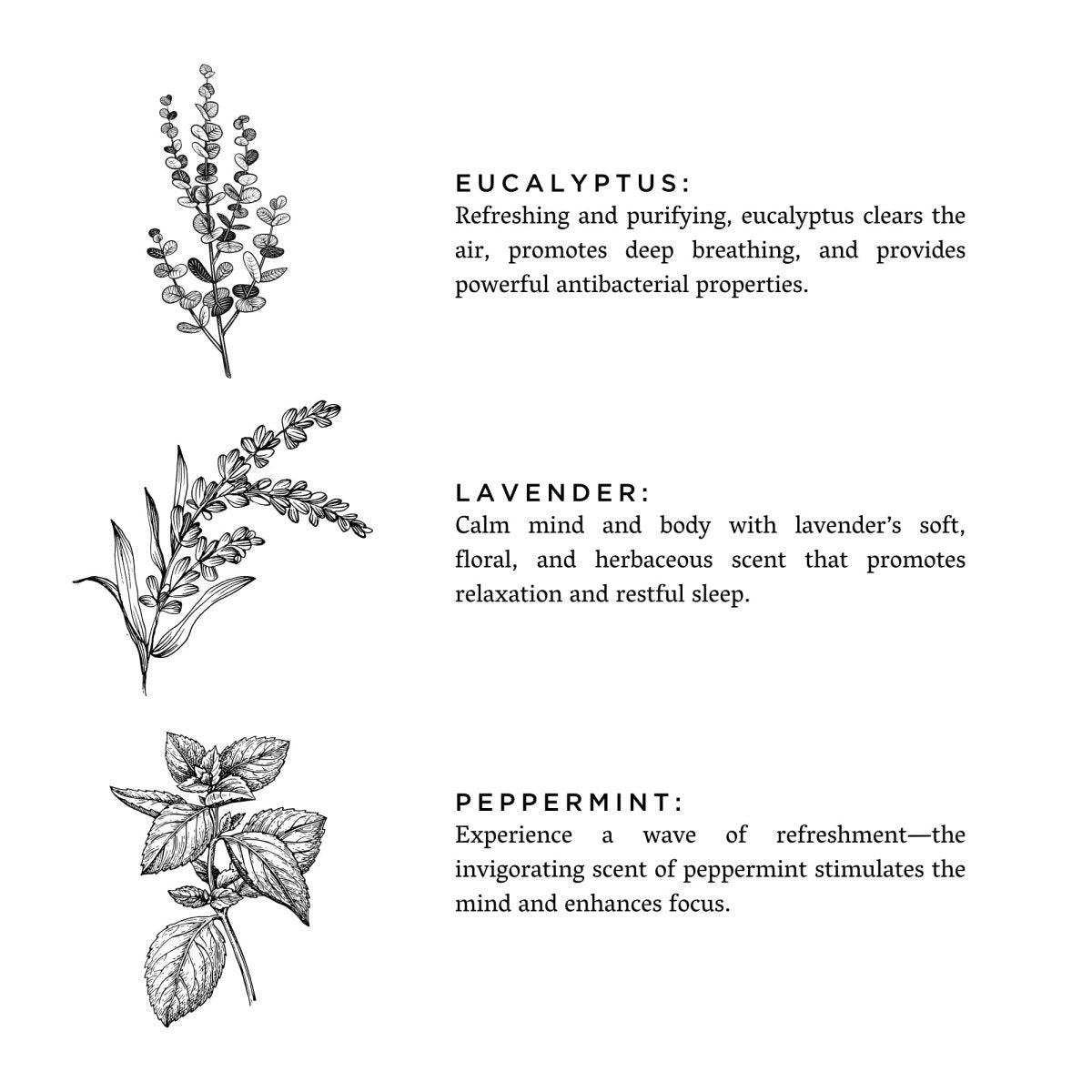 Of The Sea - Signature Candle (Eucalyptus + Lavender + Peppermint) - The Sunflower Store Co
