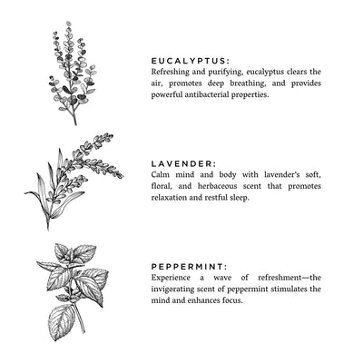 Of The Sea - Signature Candle (Eucalyptus + Lavender + Peppermint) - The Sunflower Store Co