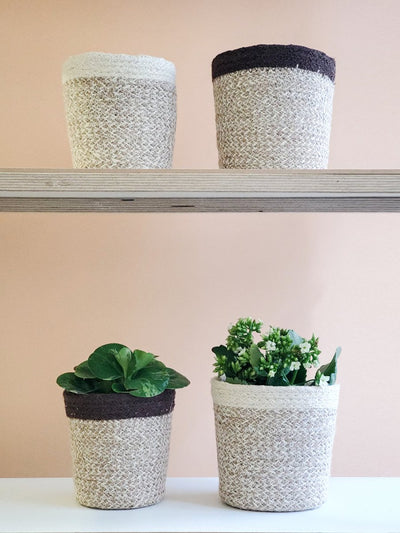 Agora Plant Basket - White - The Sunflower Store Co
