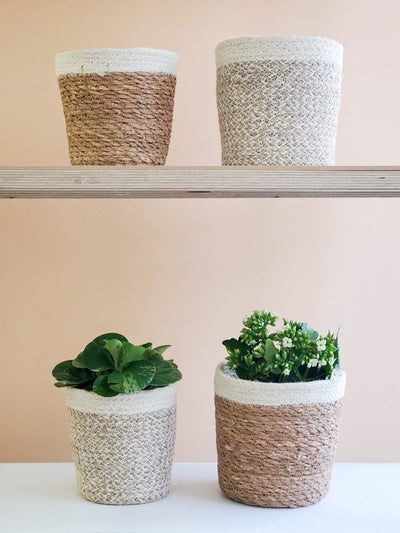 Agora Plant Basket - White - The Sunflower Store Co