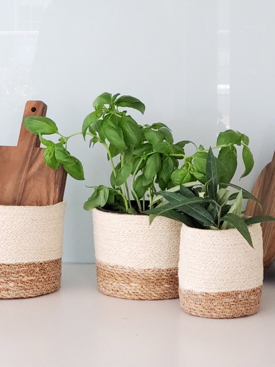 Savar Bin - The Sunflower Store Co