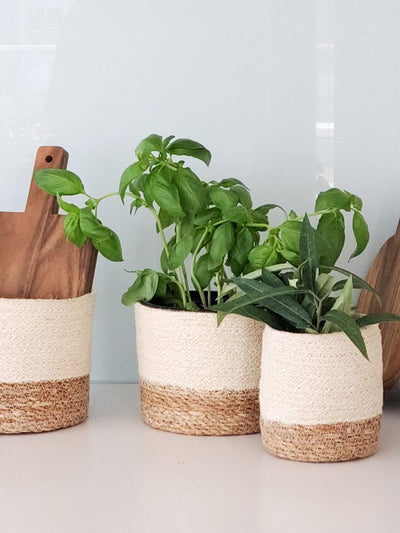 Savar Bin - The Sunflower Store Co