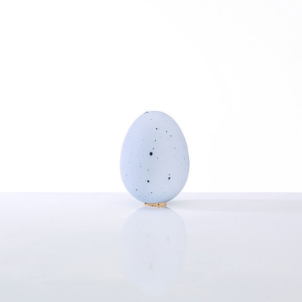 SALTSHAKER - EI - The Sunflower Store Co