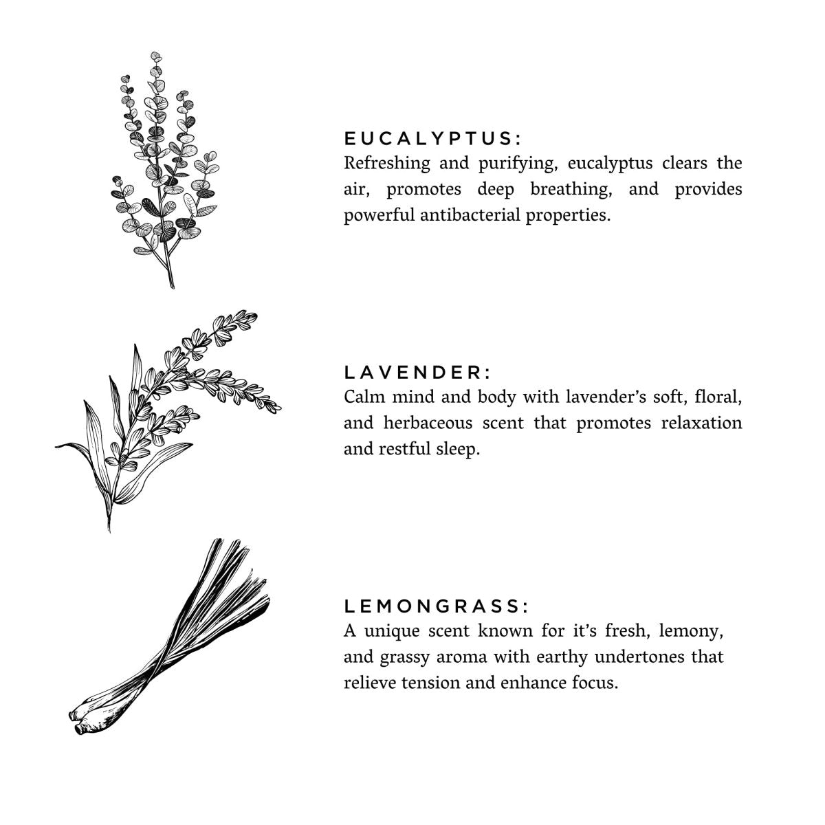 Shangri - La - Signature Candle (Eucalyptus + Lavender + Lemongrass) - The Sunflower Store Co