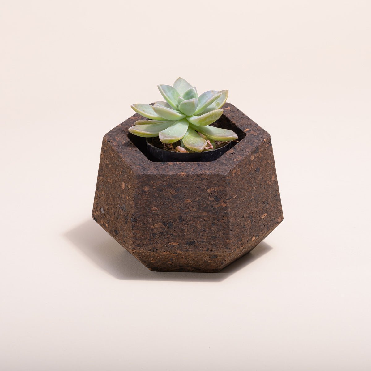 Upcycled Cork Vase - The Sunflower Store Co