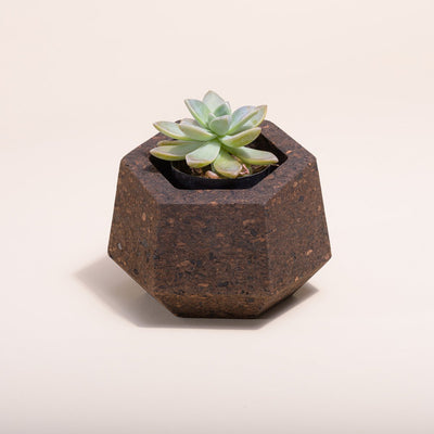 Upcycled Cork Vase - The Sunflower Store Co