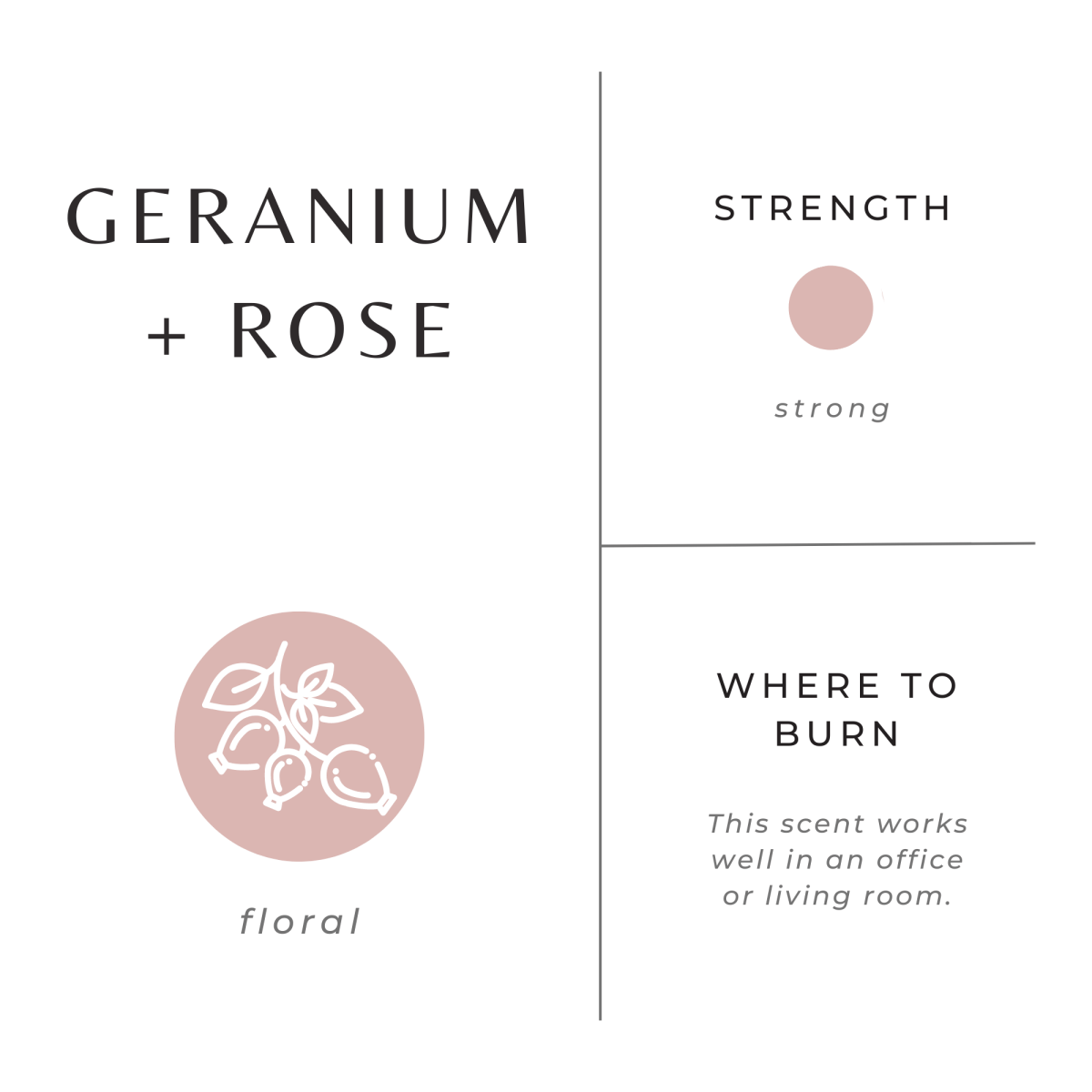 Geranium + Rose - The Sunflower Store Co