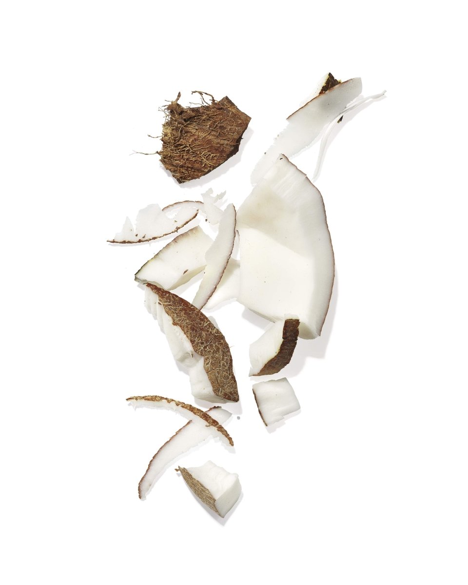 Mekabu Hydrating Shampoo - The Sunflower Store Co